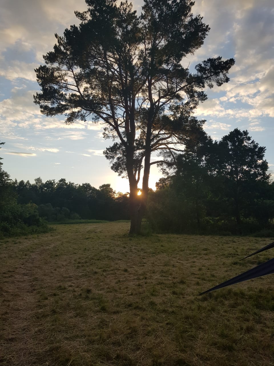 IMG-20180826-WA0123