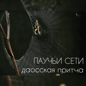 ШД@СвежиеНовости