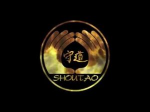 Обучение рукопашному бою в манере Шоу-Дао / Shou-Tao martials