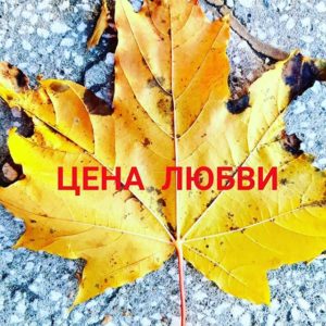 ШД@СвежиеНовости