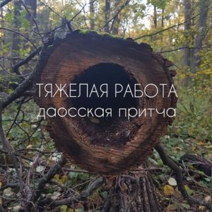ШД@СвежиеНовости