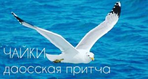 ШД@СвежиеНовости