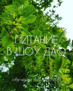 ШД@СвежиеНовости