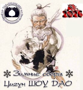 Материалы 3-го дня ЗИМНИХ СБОРОВ ЦИГУН ШОУ ДАО 2025-2026 А.Н.МЕДВЕДЕВА