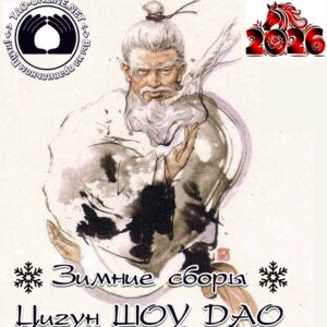 Магия жеста II. Шоу-гун. Зимние сборы 2025-2026гг. по цигун Шоу Дао А.Н.Медведева